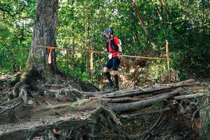 BIB: 
                            <button type="button" onclick="openModal(27548065)" class="btn btn-primary btn-sm float-right btn-popup" data-toggle="modal" data-target=".modal-high-quality">
                        <i class="fas fa-shopping-cart"></i> Add to Cart
                    </button>
                                            <button type="button" onclick="isThisMe(27548065, true)" class="btn btn-success btn-sm float-right btn-popup btn-isme hidden" data-toggle="tooltip" data-placement="bottom" title="นี่คือรูปของคุณใช่ไหม คลิกที่นี่เพื่อเอาเข้าอัลบั้ม">
                        <i class="fas fa-plus"></i> Add to album
                    </button>
                    <button type="button" onclick="isThisMe(27548065, false)" class="btn btn-warning btn-sm float-right btn-popup btn-isnotme hidden">
                        <i class="fas fa-ban"></i> Remove from album
                    </button>